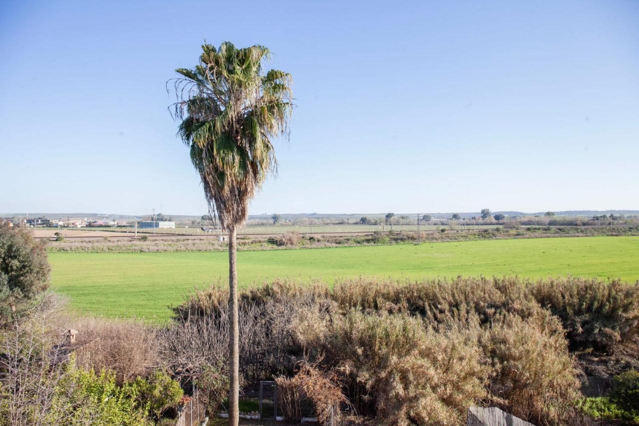 Casa Rural La Palmera Almodóvar del Río Exteriér fotografie