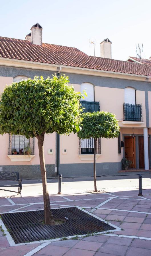 Casa Rural La Palmera Almodóvar del Río Exteriér fotografie